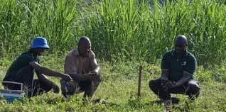 To enhance the Agricultural Call Centre to provide farmers with accurate scientific information.